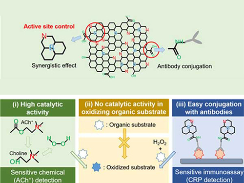 Nanomaterials Mimicking Natural Enzymes with Superior Catalytic Activity and Selectivity for Detecting Acetylcholine 이미지