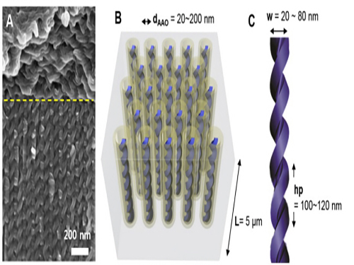 KAIST Develops Core Technology to Synthesize a Helical Nanostructure 이미지