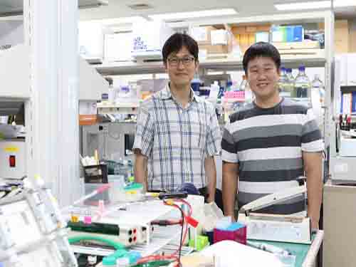 Potential Drug to Cure Ciliopathies 이미지