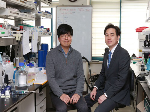 Enhanced PDT to Cure Cancer with Fewer Side Effects 이미지