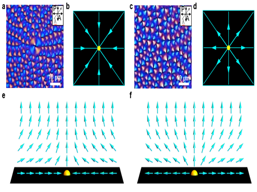 Observation of the Phase Transition of Liquid Crystal Defects 이미지