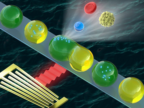 Washing and Enrichment of Micro-Particles Encapsulated in Droplets 이미지