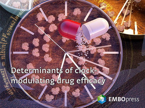 Mathematical Modeling Makes a Breakthrough for a New CRSD Medication 이미지