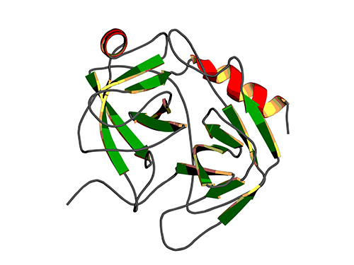 단백질의 생체분자에 대한 결합력 조절기작 규명 이미지