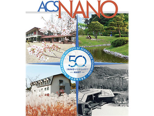 ACS Nano Special Edition Highlights Innovations at KAIST 이미지