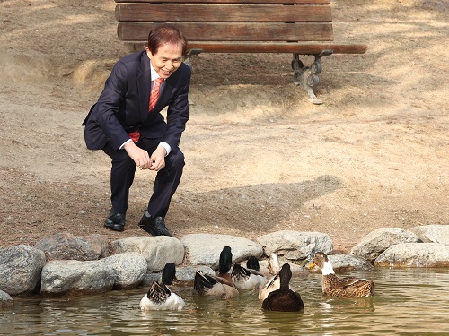 A New Family of Ducks joins the Feathery KAISTians 이미지