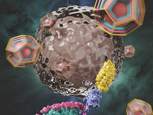 KAIST, 암세포에만 약물 전달 가능한 클라트린 조립체 개발 이미지