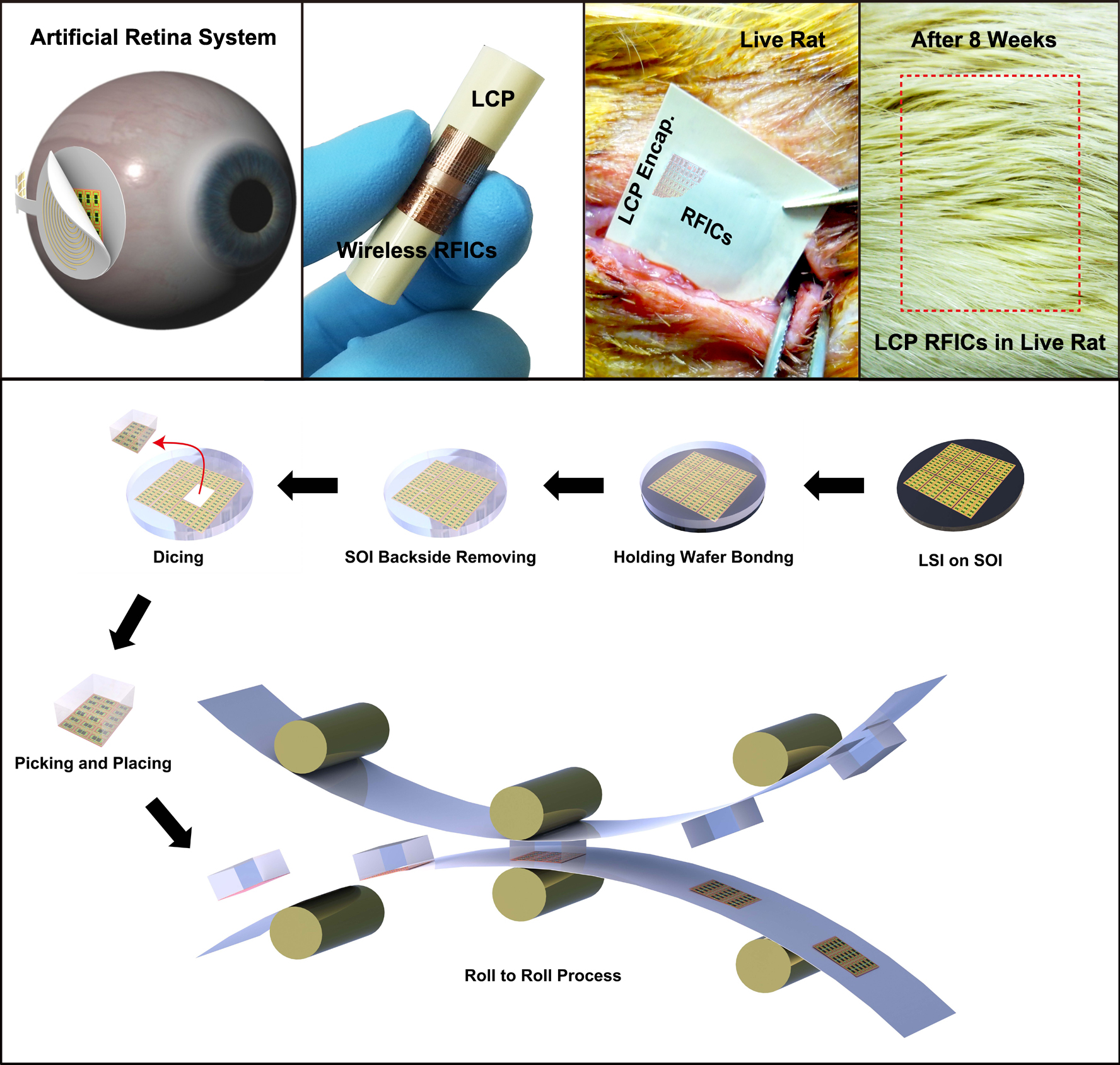 A KAIST research team developed in vivo flexible large scale integrated circuits 이미지