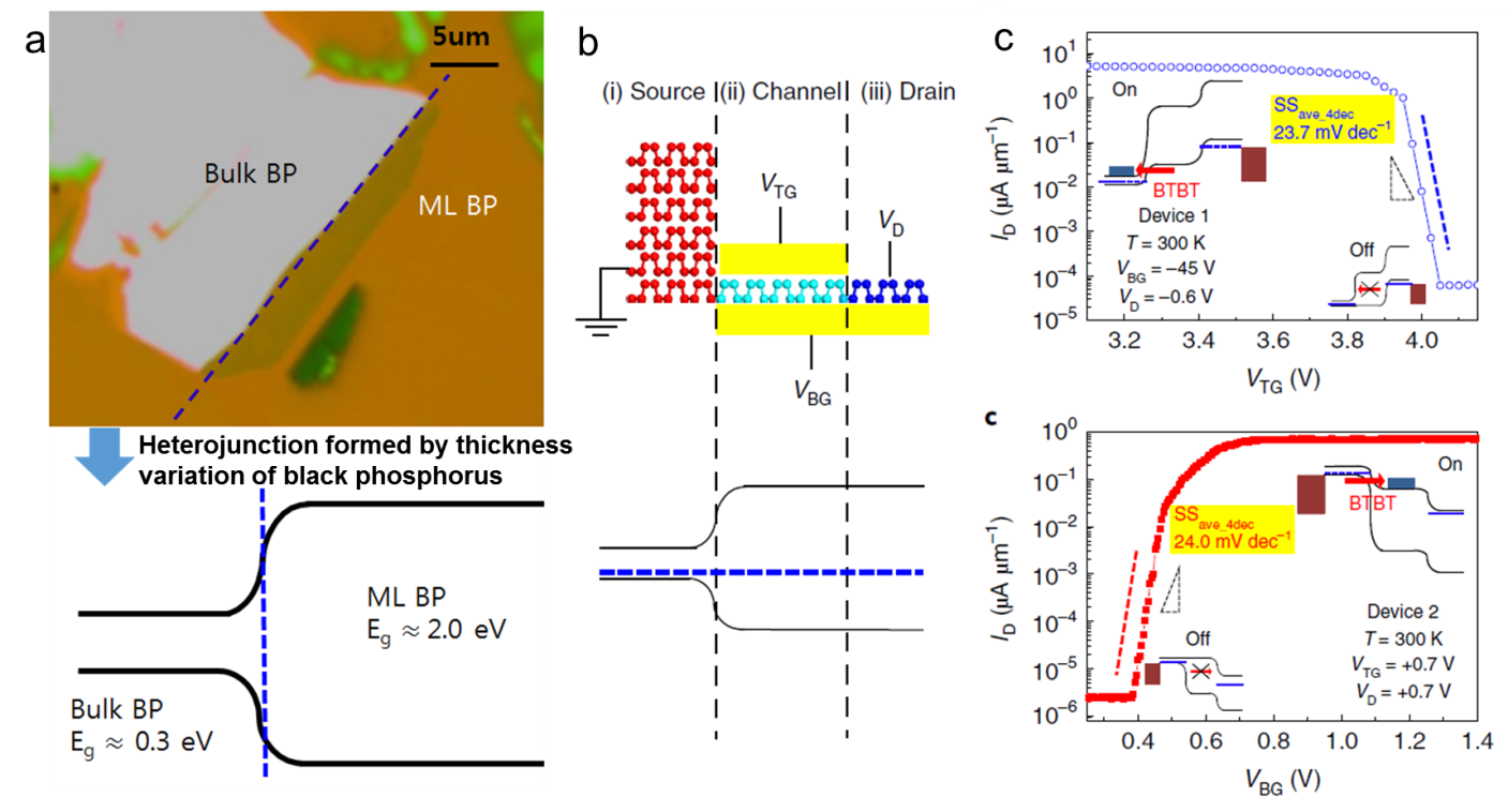 Figure. A: Optical image and band diagram of the heterojunction formed by the thickness variation of black phosphorus 2D material. B: Schematic of the tunnel field-effect transistor and the thickness-dependent bandgap. C: Characteristic transfer curve showing steep subthreshold swing and high on-current.