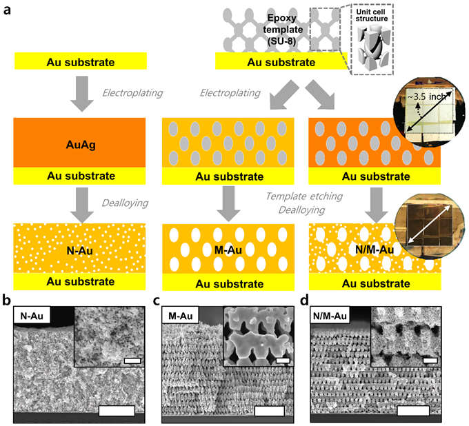 Figure 1. Fabrication procedures of various gold nanostructures through proximity-field nanopatterning (PnP) and electroplating techniques.