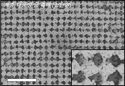 Figure 2. Top view of scanning electron microscope (SEM) images of the hierarchically porous gold nanostructure (Scale bars, 3 μm).