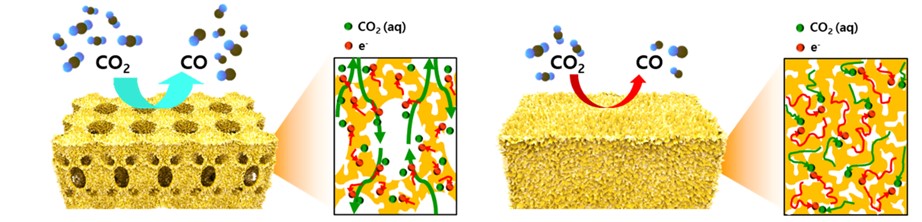 Figure 3. Schematic illustration and the cross-sectional view with the expected reaction pathway for the hierarchically porous gold and nanoporous gold electrodes.