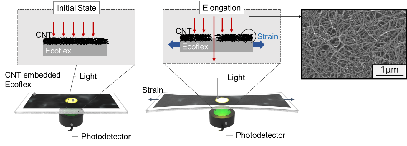 Figure 2. Schematic diagram of the sensor based on the optical transmittance changes of the CNT-embedded Ecoflex thin film.