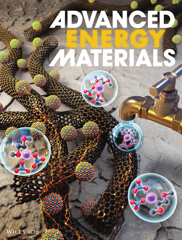 그림 2. Advanced Energy Materials지 표지