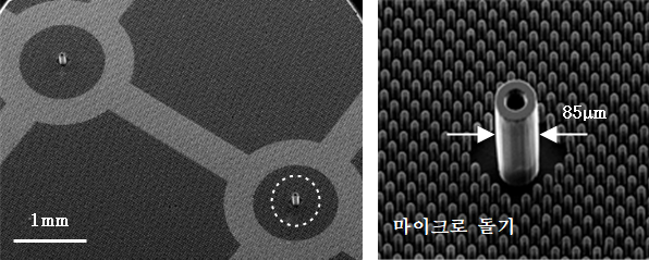 (왼쪽) 폴리머 초미세 노즐 어레이 사진, (오른쪽) (확대 사진) 외경 85μm, 내경 40μm, 높이 150μm의 폴리머 초미세 노즐과 주변의 마이크로 돌기