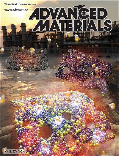 그림 4. 재료분야 세계적 국제 학술지 'Advanced Materials' 2020년도 11월호 속표지 이미지