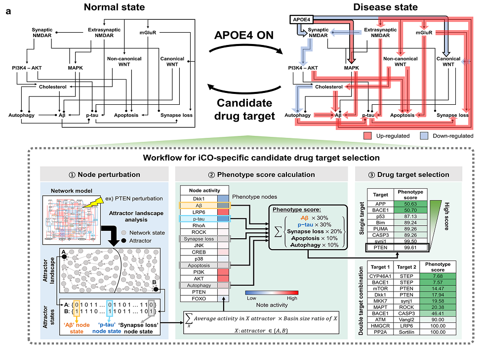 그림 3. 알츠하이머병의 위험 유전자인 ApoE4를 타겟하는 환자 맞춤형 시스템생물학 기반 네트워크 컴퓨터 모델 및 약물 타겟 선정과정
