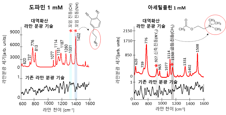 그림 2. 도파민과 아세틸콜린을 대역확산 라만 분광 기술로 측정한 스펙트럼