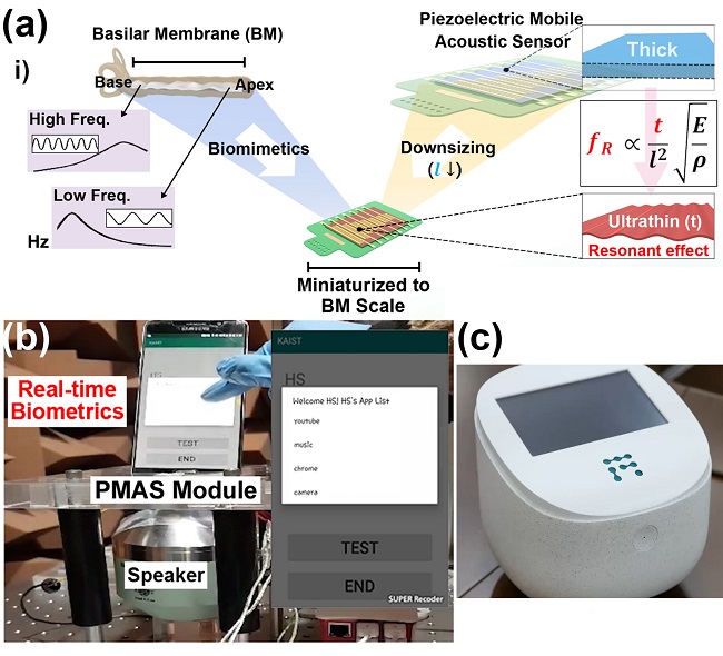 Figure: (a) Schematic illustration of the basilar membrane-inspired flexible piezoelectric mobile acoustic sensor (b) Real-time voice biometrics based on machine learning algorithms (c) The world’s first commercial production of a mobile-sized acoustic sensor. 