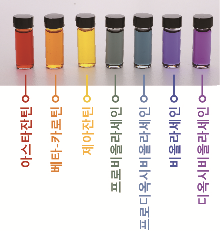 그림 1. 미생물을 통해 생산한 일곱 가지 무지개 색소
