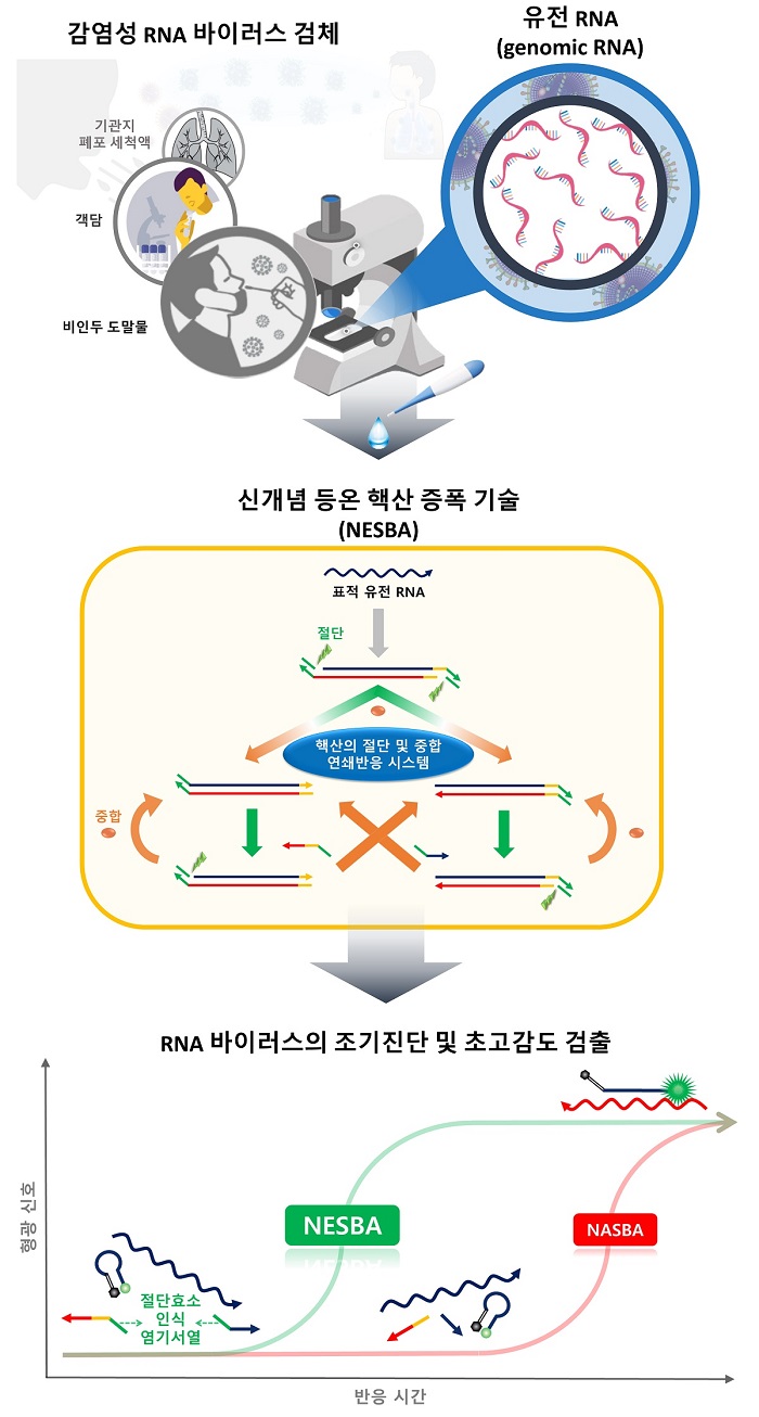 그림 1. RNA 바이러스 초고감도 검출 기술 연구 모식도
