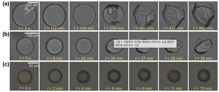 Crystal growth at the interface of calcium propionate-saturated water–oil emulsions depending on the initial emulsion size. The initial diameter of the emulsion in oil is (a) 496 μm, (b) 135 μm, and (c) 34 μm. 
