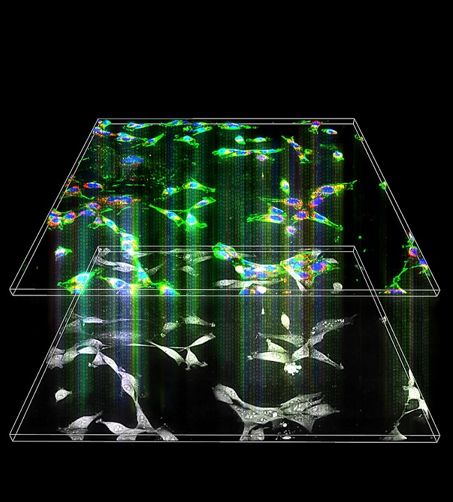 그림 2. 개발된 인공지능 현미경 개념도