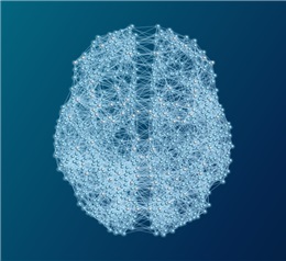 그림 3. 자발적으로 형성되는 무작위적 뇌 신경망 연결 구조의 형상화