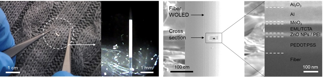 그림 1. WOLED 전자 섬유 및 현미경 이미지, 주사전자현미경으로 관측한 WOLED 박막 이미지