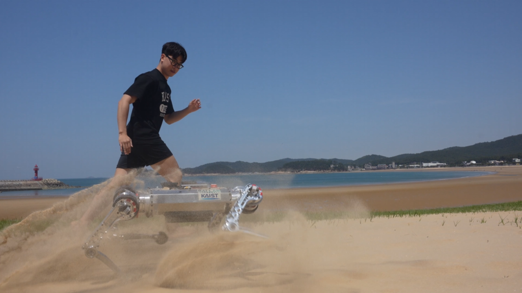 Raibo running on the beach
