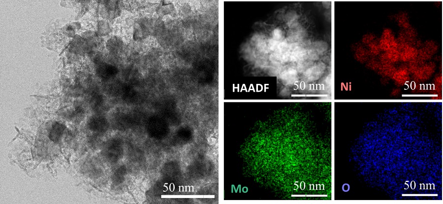 그림 1. 니켈-산화 몰리브데넘 복합체의 투과 현미경 이미지와 조성 분포도