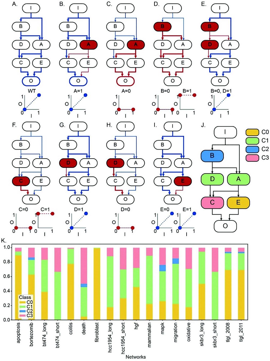 Input-output (I/O) relationships in gene regulatory networks