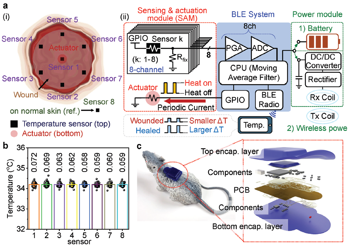 Schematic illustrations and diagrams of real-time wound monitoring systems