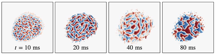 그림 1. 자기 영역(Magnetic Domain)들의 조대화 동역학. 붉은색/파란색은 스핀 업/다운을 지칭하며, 시간이 지남에 따라 영역들의 크기가 점점 커지는 것을 볼 수 있다. 