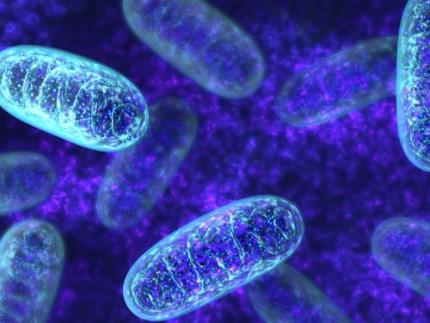 Unraveling Mitochondrial DNA Mutations in Human Cells​ 이미지