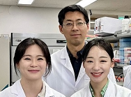 KAIST Discovers Protein Switch that Turns Anti-Viral Immune Response On and Off​ 이미지