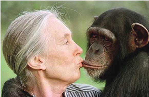 침팬지 연구가 제인 구달 박사 초청강연 이미지