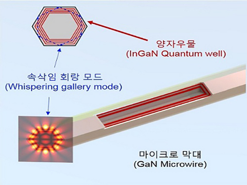 빛과 물질의 성질 동시에 갖는 양자 입자 상온에서 관측 이미지