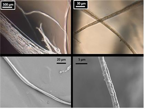모델링 기반 거미줄 모사 인공 생체섬유 개발 이미지