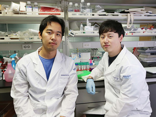 박지호 교수, 인공수용체 종양에 전달해 표적치료하는 기술 개발 이미지