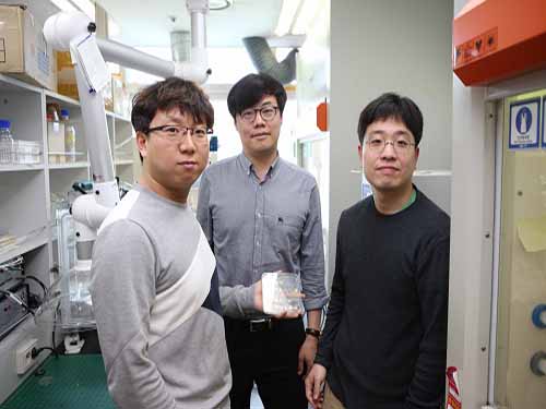 A High-Performance and Cost Effective Hydrogen Sensor 이미지
