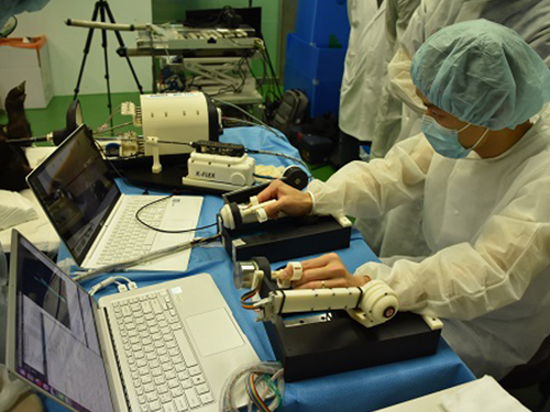 유연 원격 내시경 수술로봇 K-FLEX로 동물실험 성공 이미지