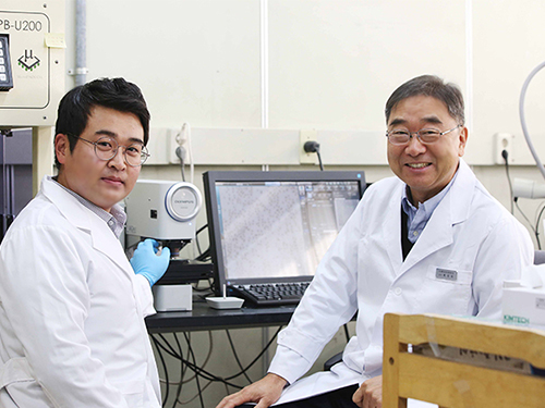New Anisotropic Conductive Film for Ultra-Fine Pitch Assembly Applications 이미지