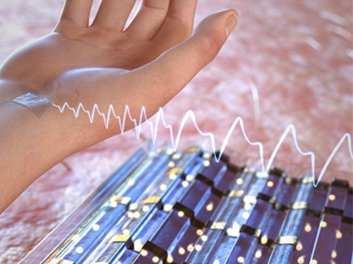 High-Performance Flexible Transparent Force Touch Sensor for Wearable Devices 이미지
