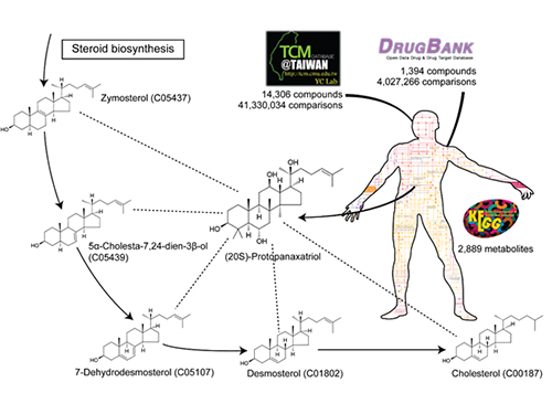 System Approach Using Metabolite Structural Similarity Toward TOM Suggested 이미지