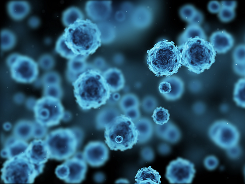 육종민 교수팀, 살아있는 세포의 전자현미경 관찰 성공 이미지