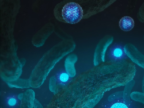 도파민의 성질로 박테리아 생장의 실시간 탐지 기술 개발 이미지