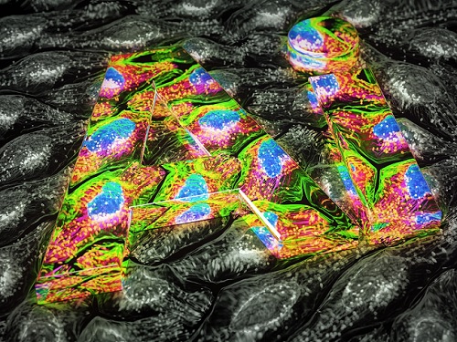 형광 염색 없이 분자 정보를 보는 AI 현미경 개발 이미지