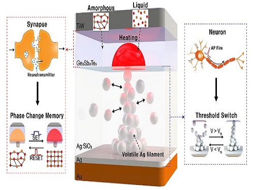 Neuromorphic Memory Device Simulates Neurons and Synapses 이미지
