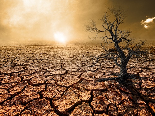 가까운 미래에 많은 지역에서 가뭄이 일상화되는 사실 최초 예측 이미지